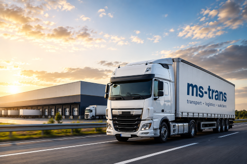 MS-Trans Logo